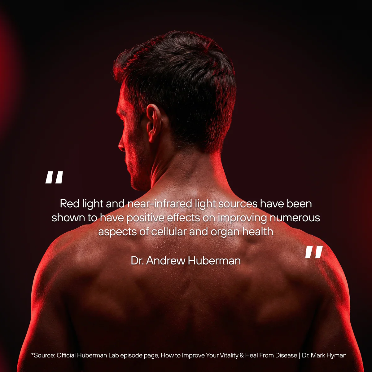 Sauna + Red Light Bundle - Image 7